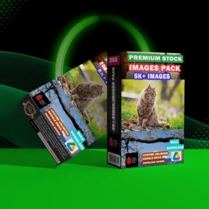 Stock Images Download Pack: 5000+ Images